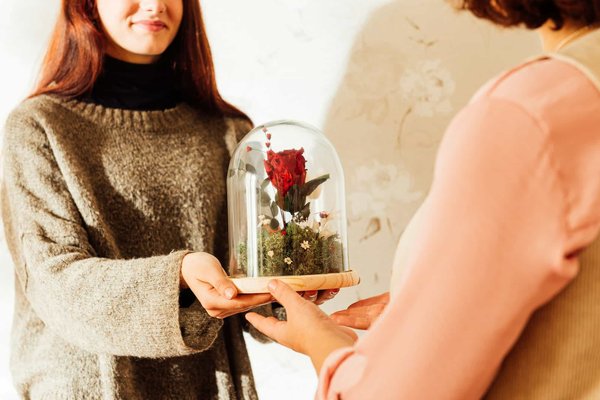 Rose éternelle sous cloche : l'achat idéal pour un cadeau inoubliable