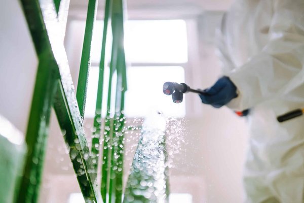 Désinsectisation à marseille : conseils pour choisir une entreprise spécialisée